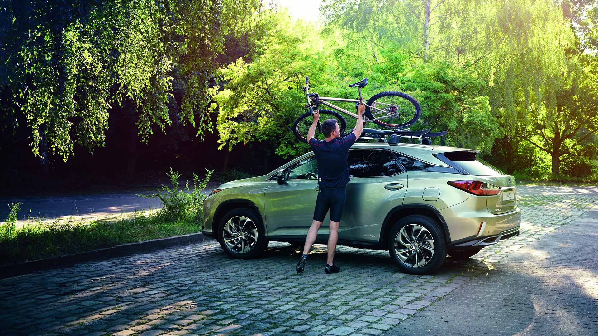 Lexus Parts & Accessories